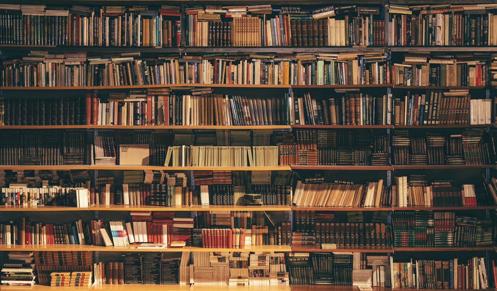 Rows of library shelves packed with books