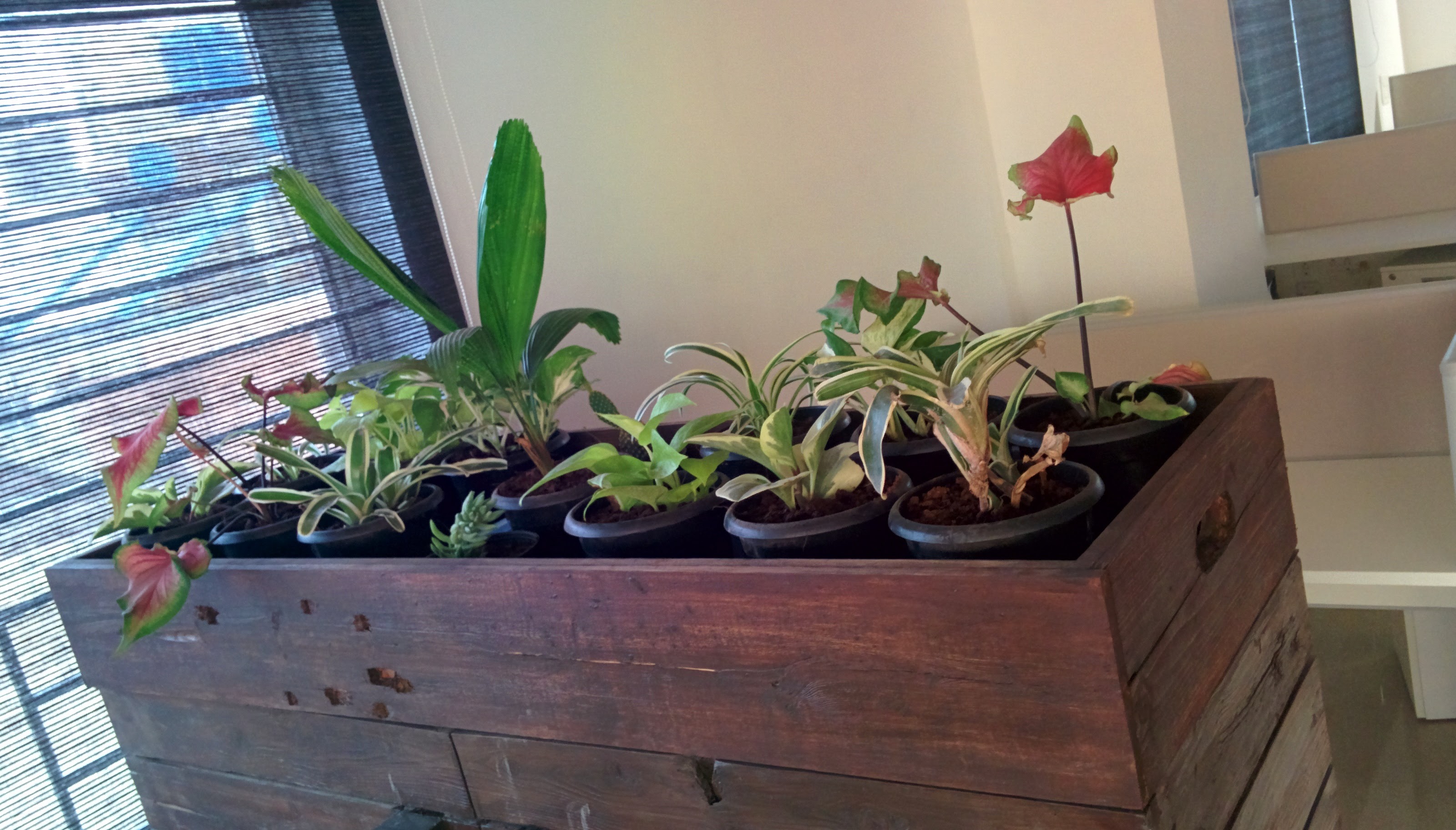 Interior planter placement 4