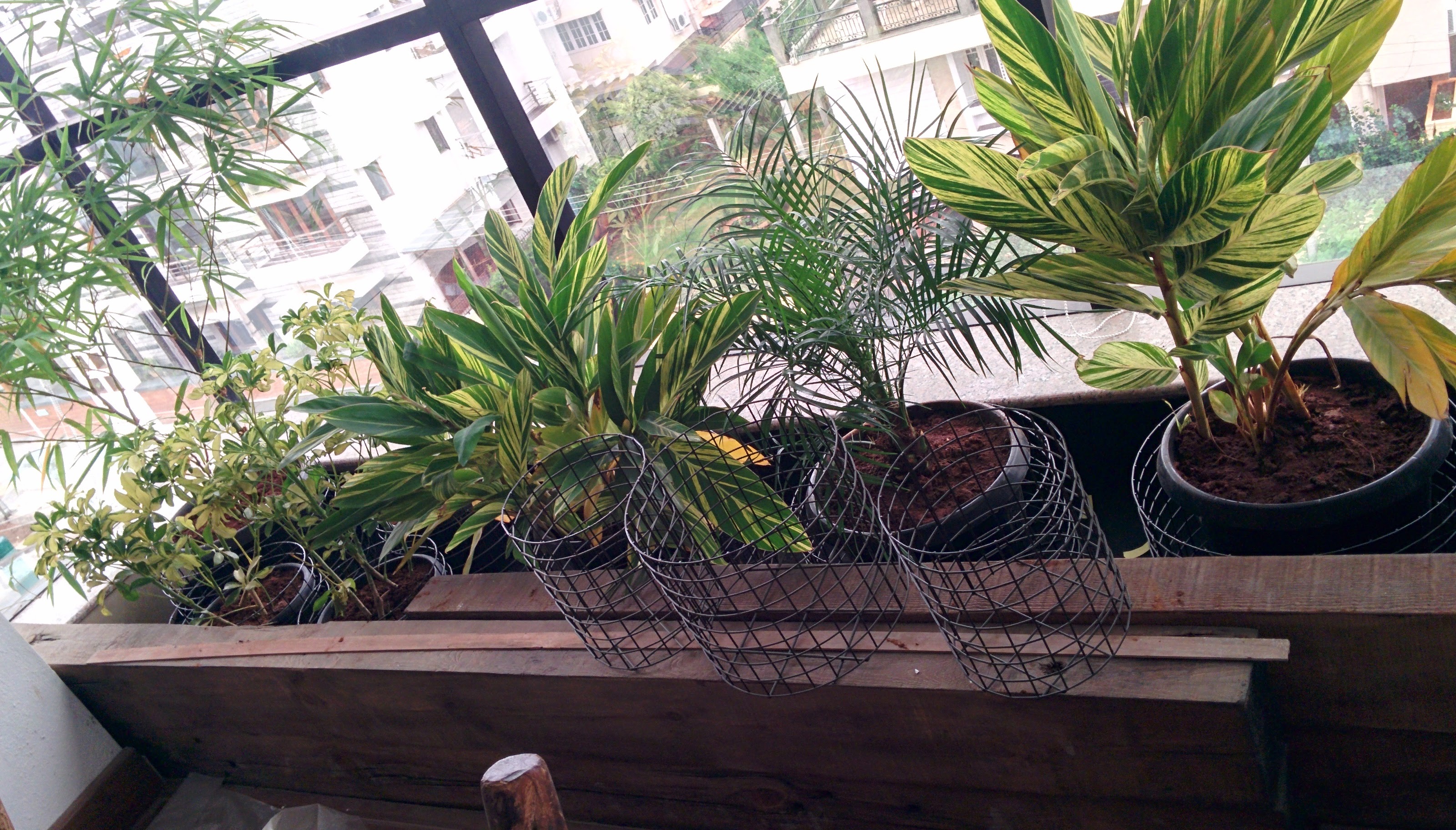 Interior planter placement 5