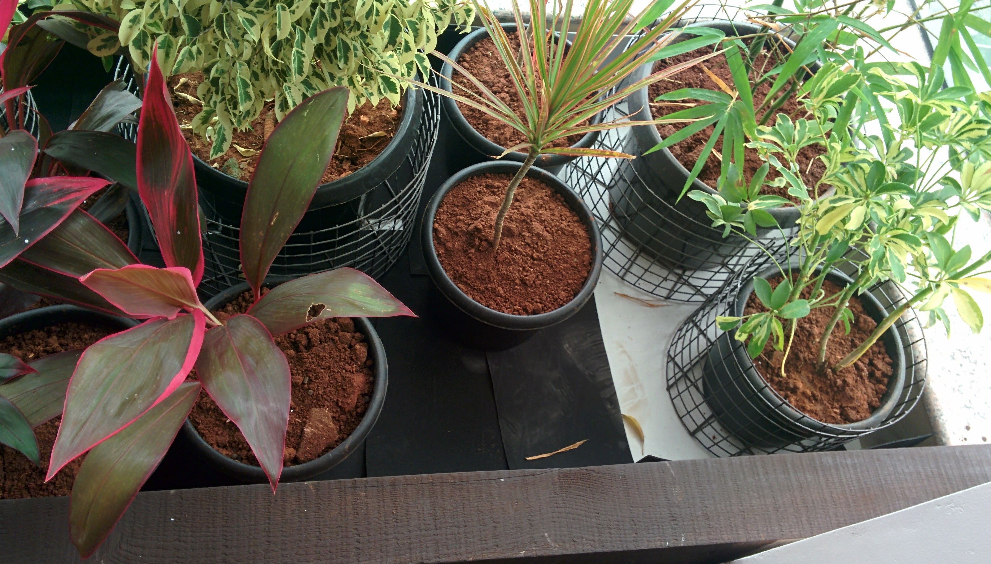Interior planter placement 7